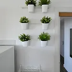 Frleta Appartement *
