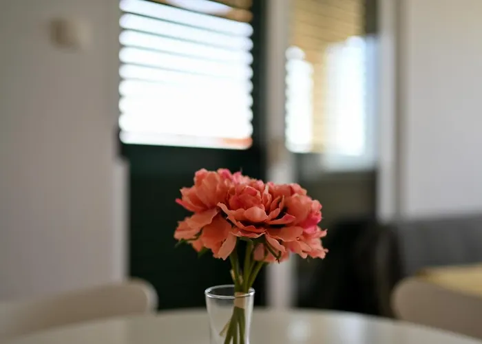 Apartman Frleta Bibinje