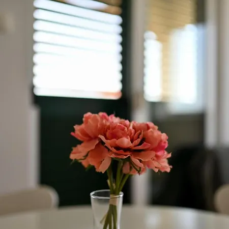 Apartamento Frleta Bibinje