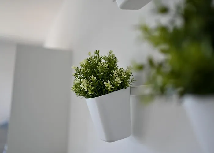 Appartement Frleta *